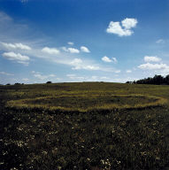 Fairy Ring #2, Fent's Prairie