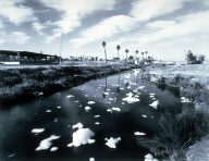 Polluted New River, Calexico, California, from the California Toxics Project