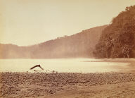 Tropical Scenery: The Terminus of the Proposed Canal, Limon Bay (Darien Expedition)