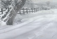 Path in the Snow
