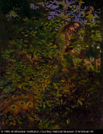 Peacock in the Woods (study for book, Concealing-Coloration in the Animal Kingdom)