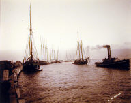 Arcata Wharf