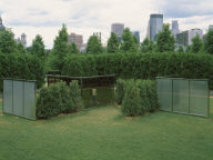 Two-way Mirror Punched Steel Hedge Labyrinth