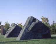 Sagacious Head 6