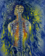 Anatomical Painting