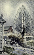 Winter Light, Backyard