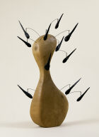 Wooden Bottle with Hairs