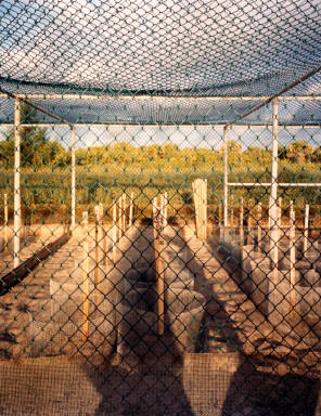 Turtle Hatchery, South Beach, Vero Beach, Florida
