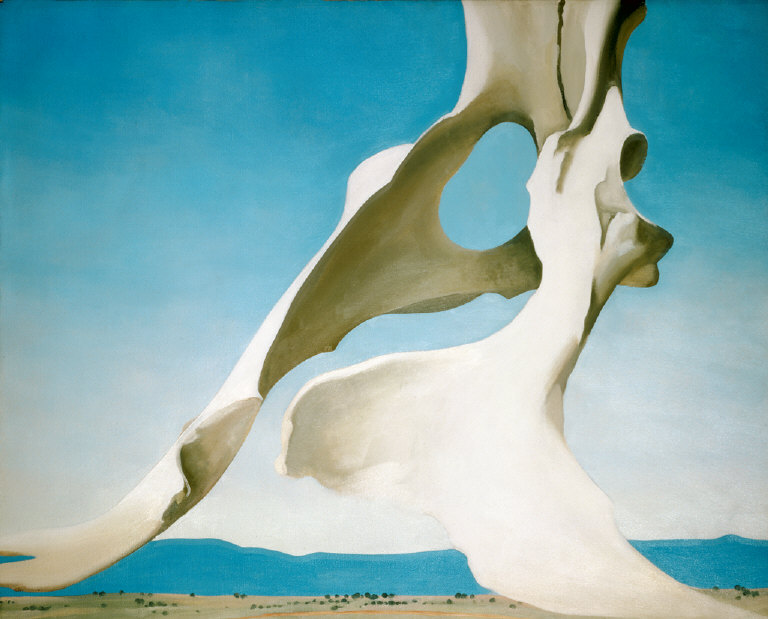 Pelvis with the Distance